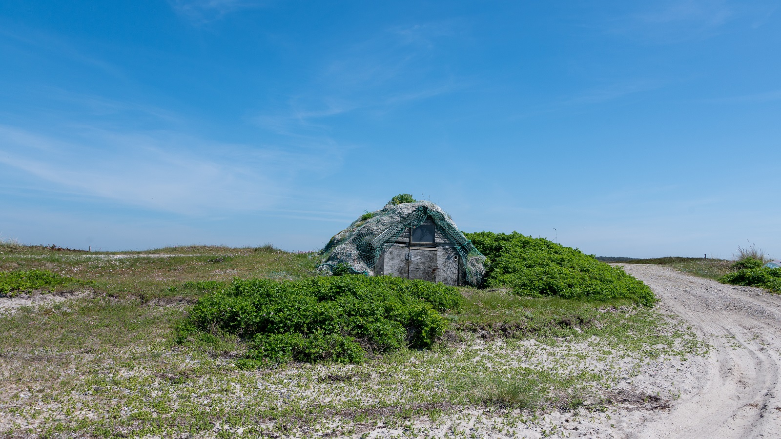 Ø-CAMINO Læsø - Etape 4 - 15 km - Byrum - Sdr. Nyland - Stokken - Vesterø
