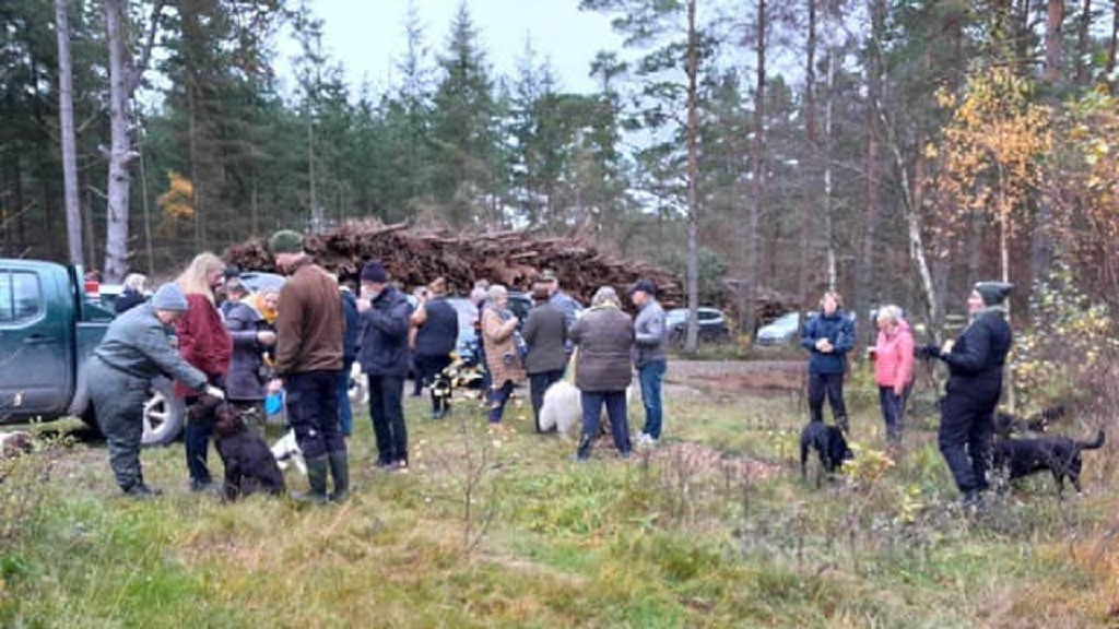 The dog forest of Læsø at Badesøen/Stenbrovejen