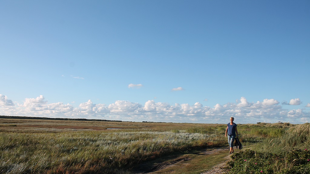 Modvind i Østerby - hotel, café og bar