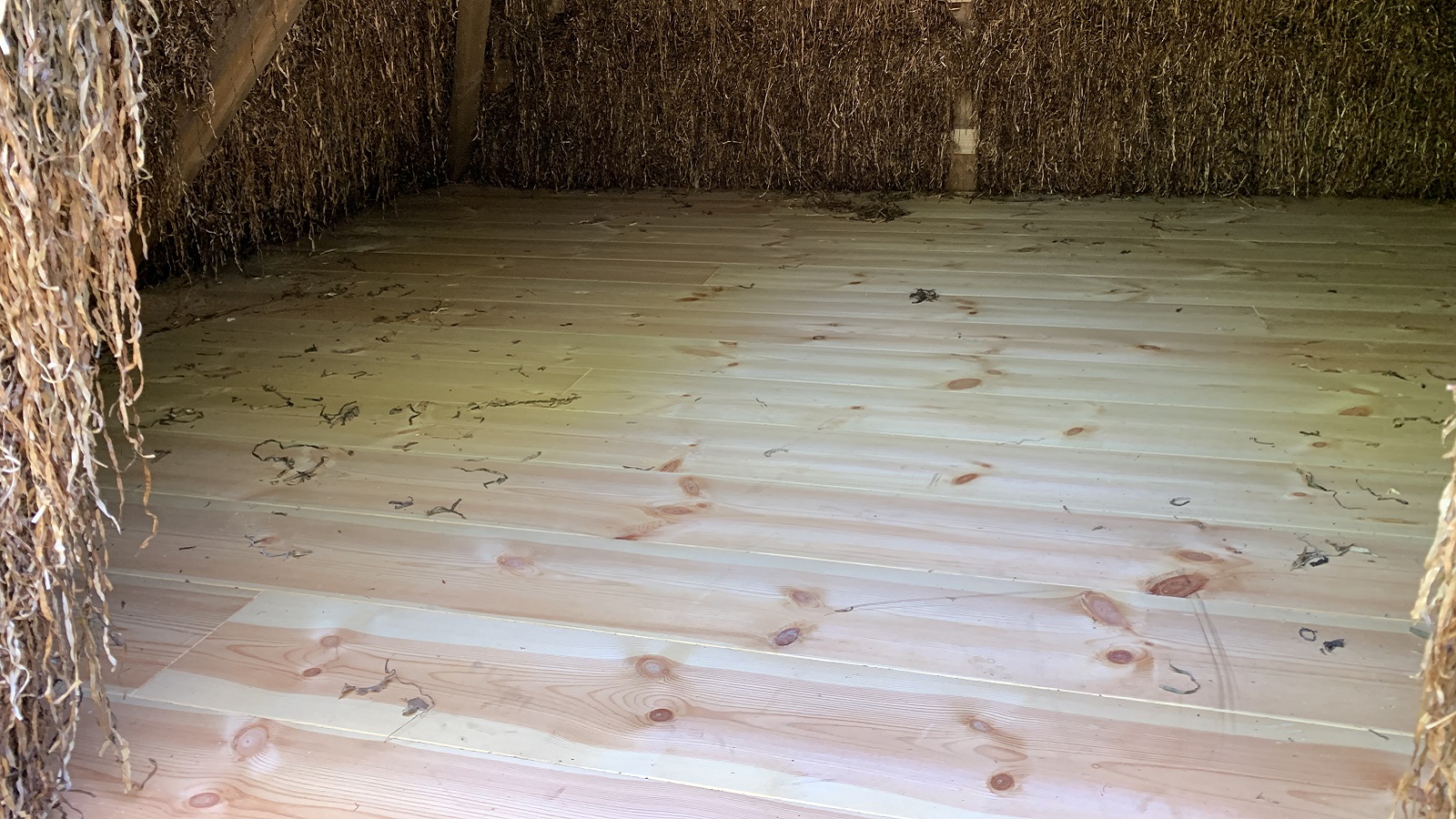 Tangshelter Sdr Nyland Læsø 2024