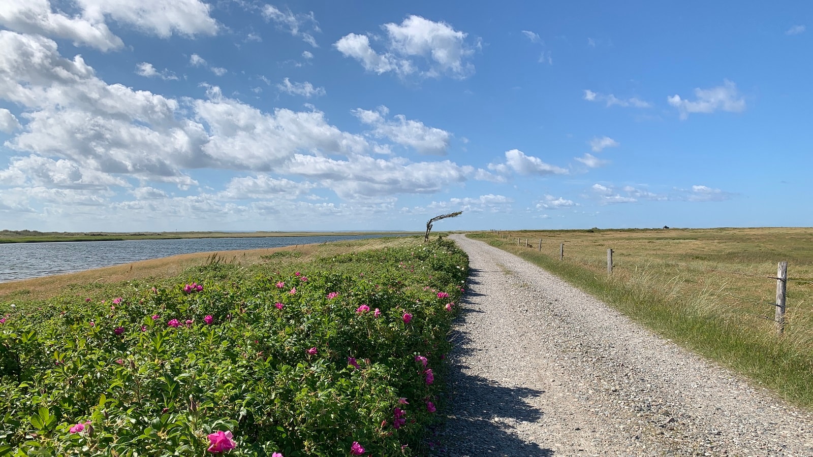 Tangshelter Læsø ved Sdr Nyland, en del af Ø-Camino Læsø og etape 4