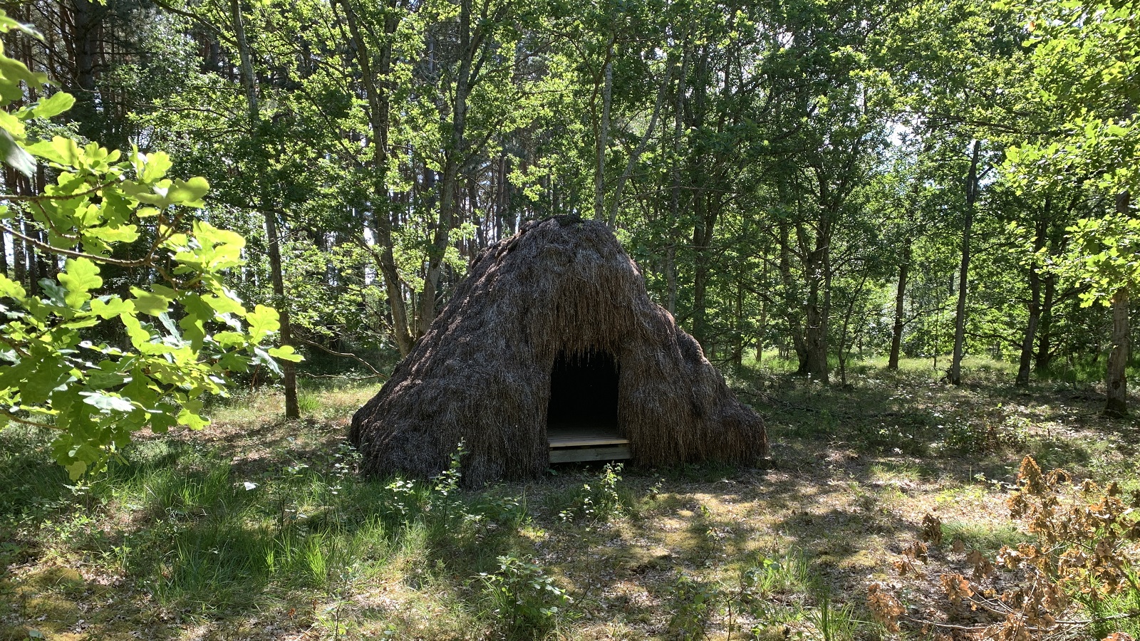 Tangshelter Sdr Nyland Læsø 2024