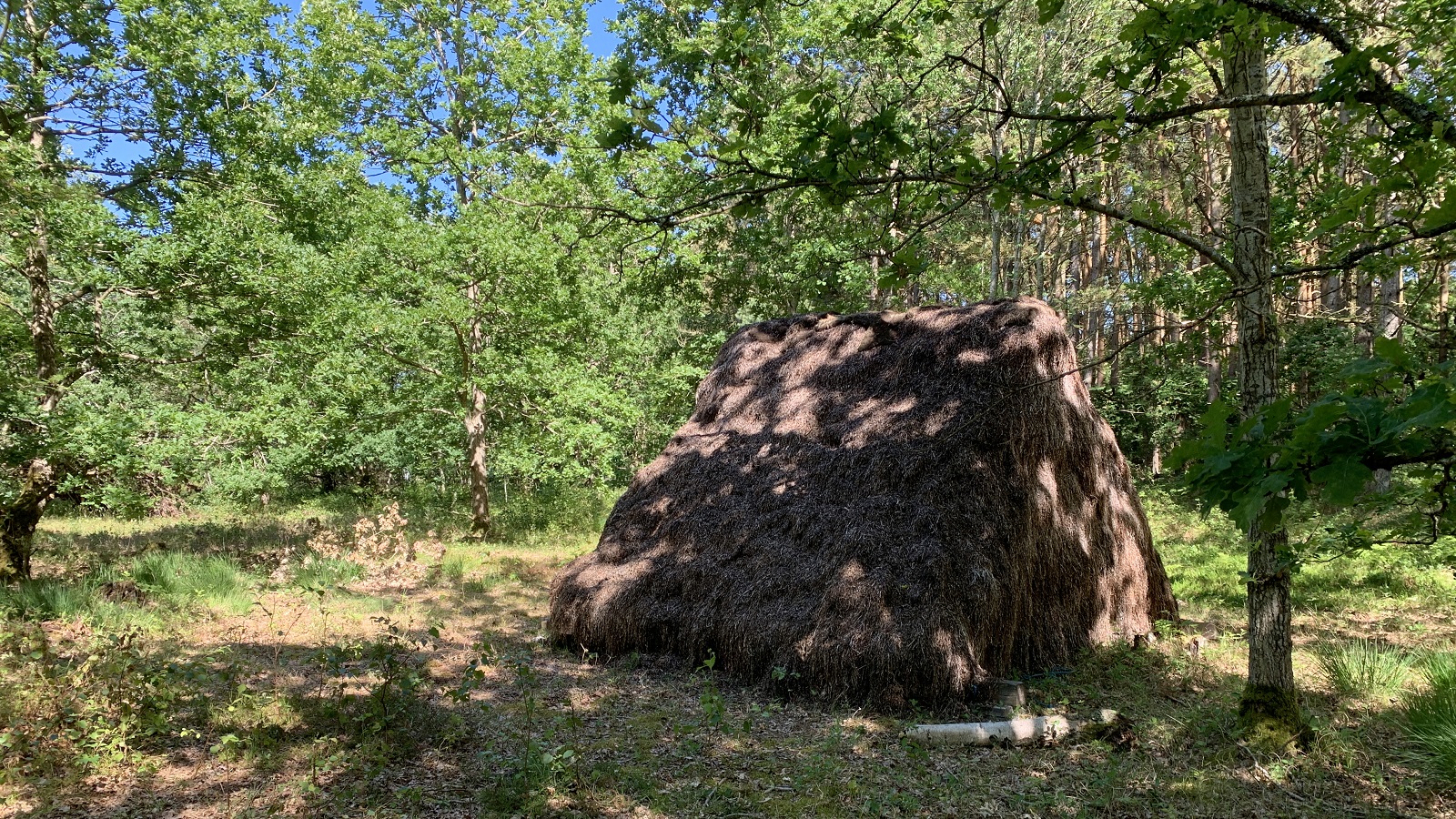 Tangshelter Sdr Nyland Læsø 2024