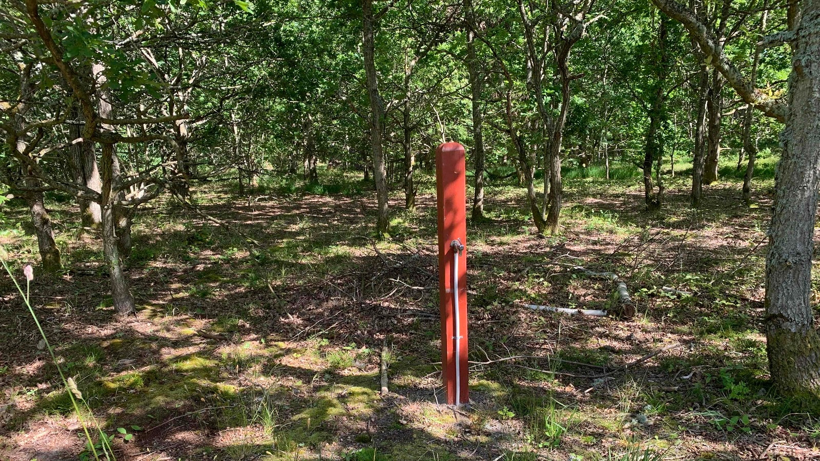 Tangshelter Læsø ved Sdr Nyland, en del af Ø-Camino Læsø og etape 4