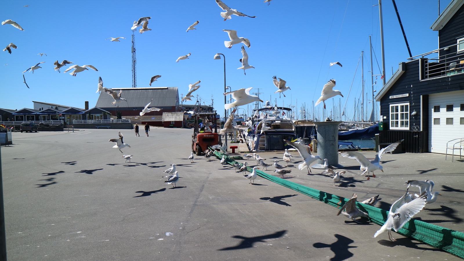 Østerby Havn _ 1600