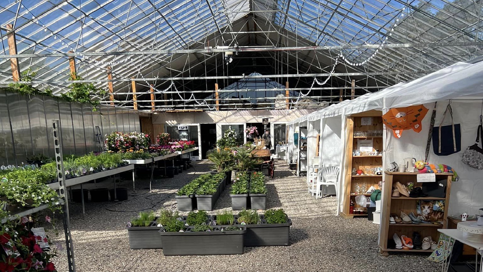 Ægirs Have Læsø 1_1600