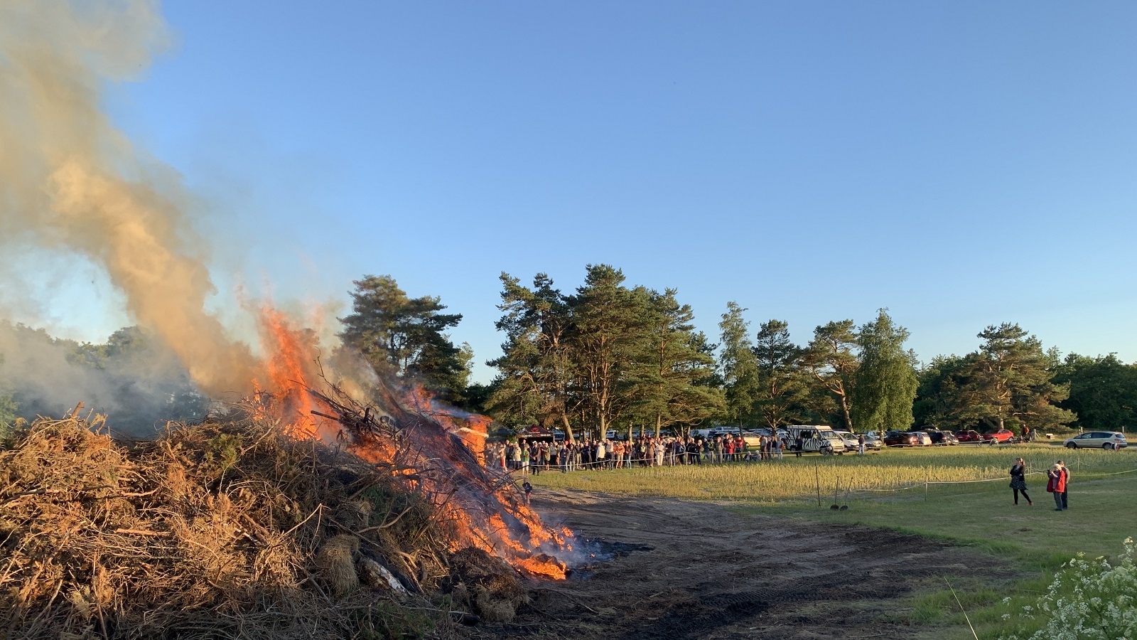 Sankt Hans Ægirs Have 2 1600.jpg