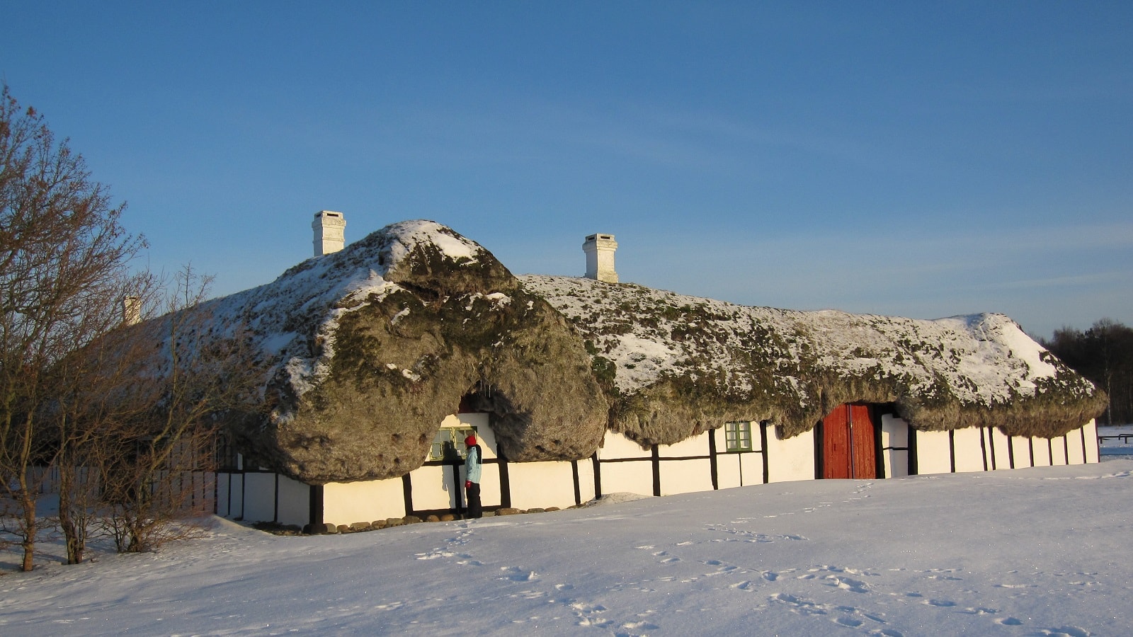 Tanggården Skoven på Alleen på Læsø