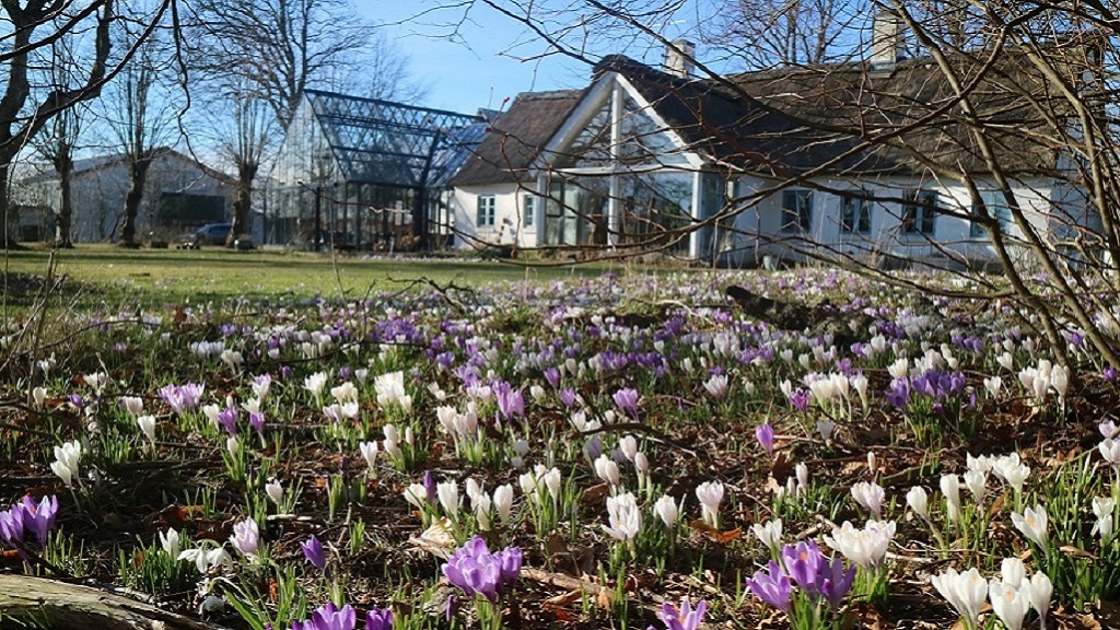 Påske på Læsø - Østergaard BogB