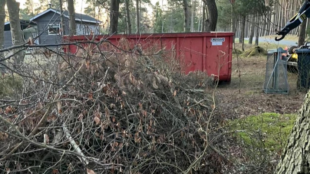 Læsø Skov og Minilæsser Service - container