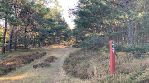 Hvidebakker Sheltere Læsø - adgangsvej 3200