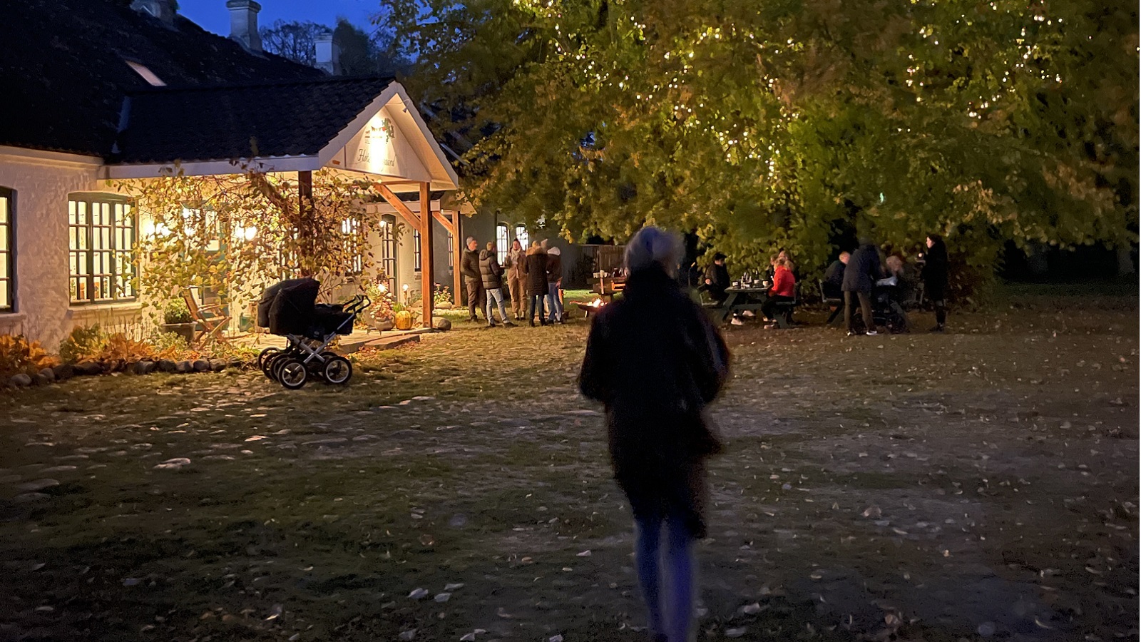 Nygaard i mørke Knæk Cancer