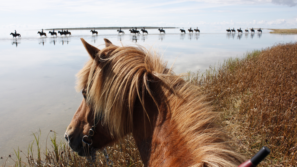 Krogbækgaard - The Café