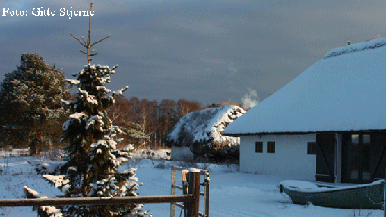 Jul på Læsø