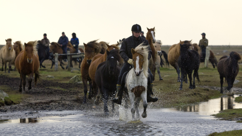 Krogbækgaard Kursus- og Feriecenter - Rideferie