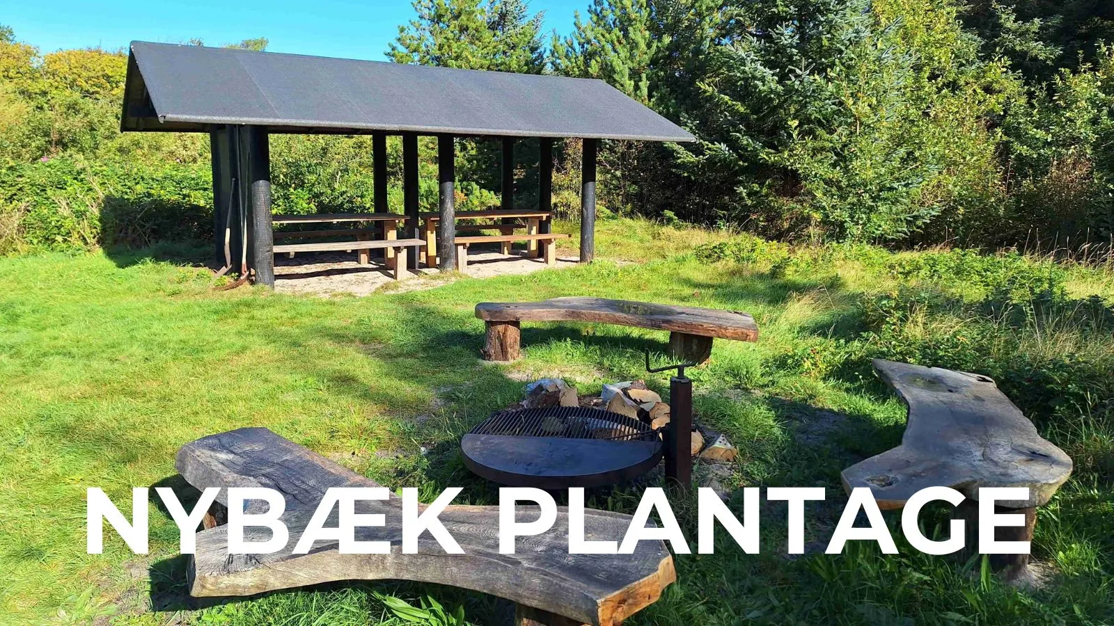 Nybæk Plantage
