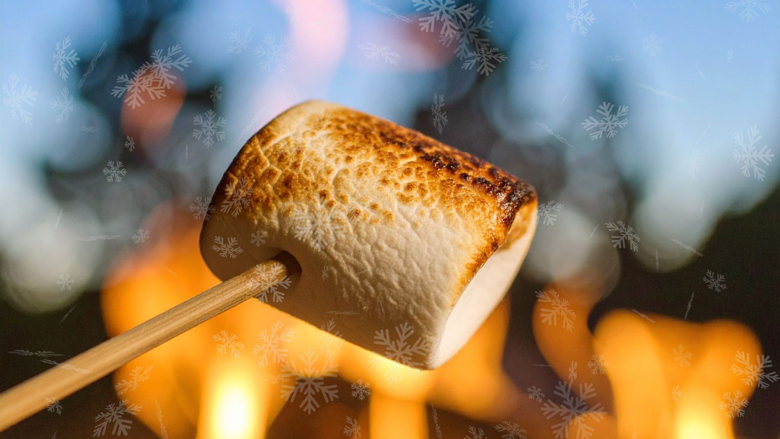 løkken turistbureau