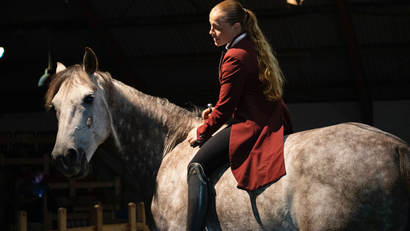 The Circus Farm; Katja Schumann; Horses
