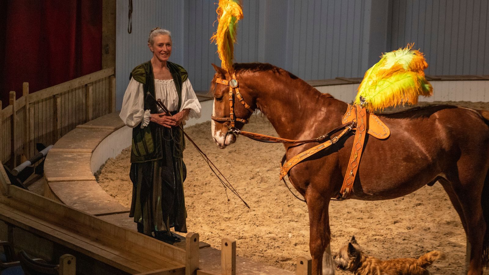 Cirkusgården; Katja Schumann; heste