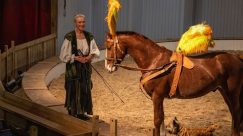 Cirkusgården; Katja Schumann; heste