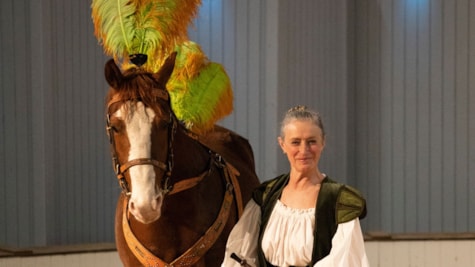 Cirkusgården; Katja Schumann; heste