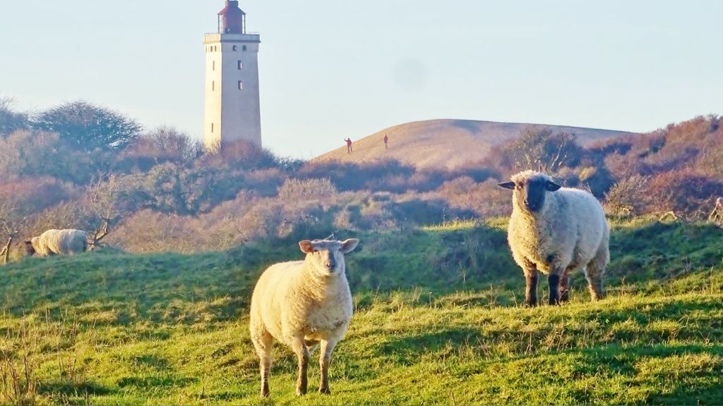 Feriepartner Lønstrup