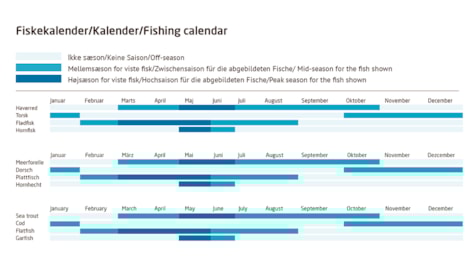 Gals Klint - Den Gamle Lillebæltsbro