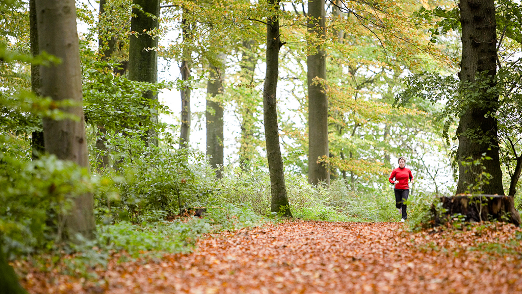 HUSET Middelfart, Konferencecenter og kursussted