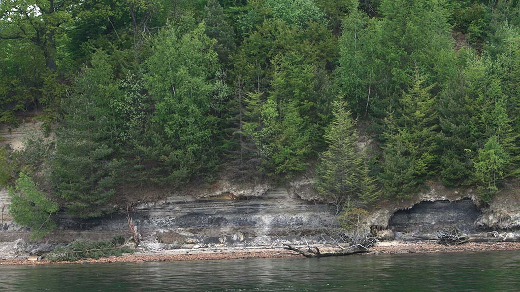 Kasmose Forest shelters