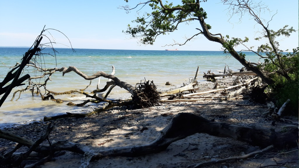 Kasmose Forest shelters
