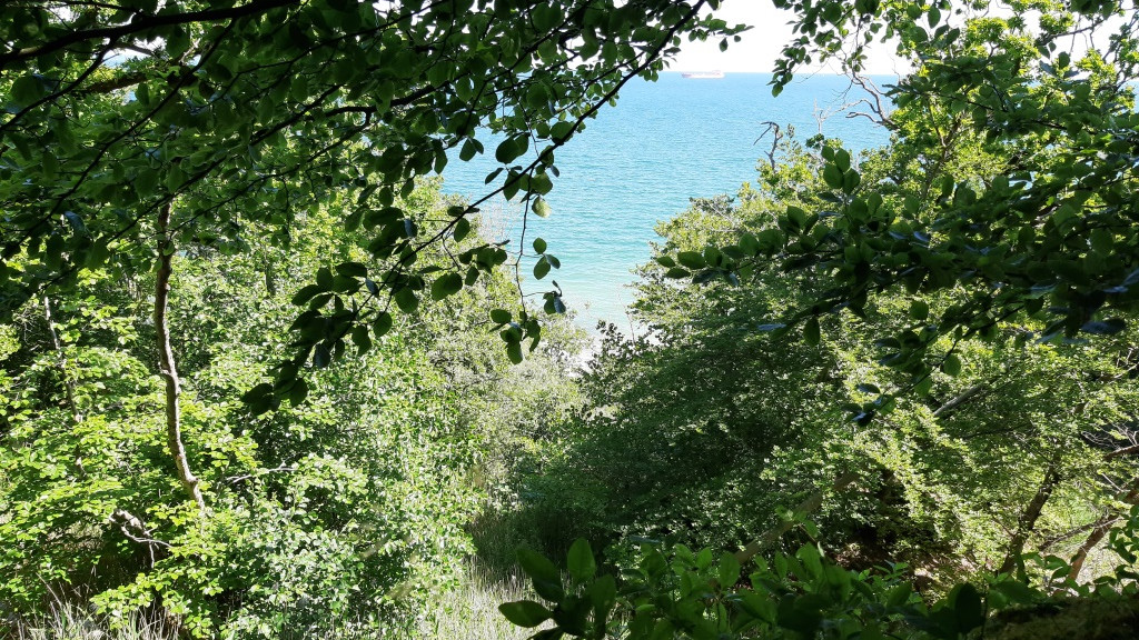 Kasmose Forest shelters