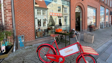 The old Brugs - Bicycle in front of the shop