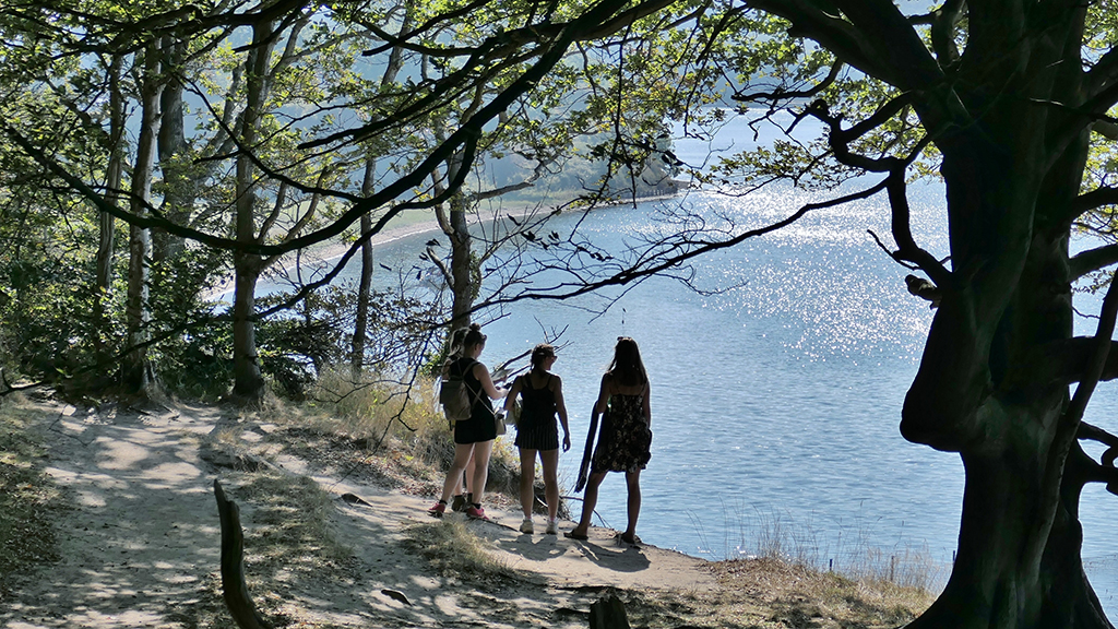 The Lillebælt Trail 27 km