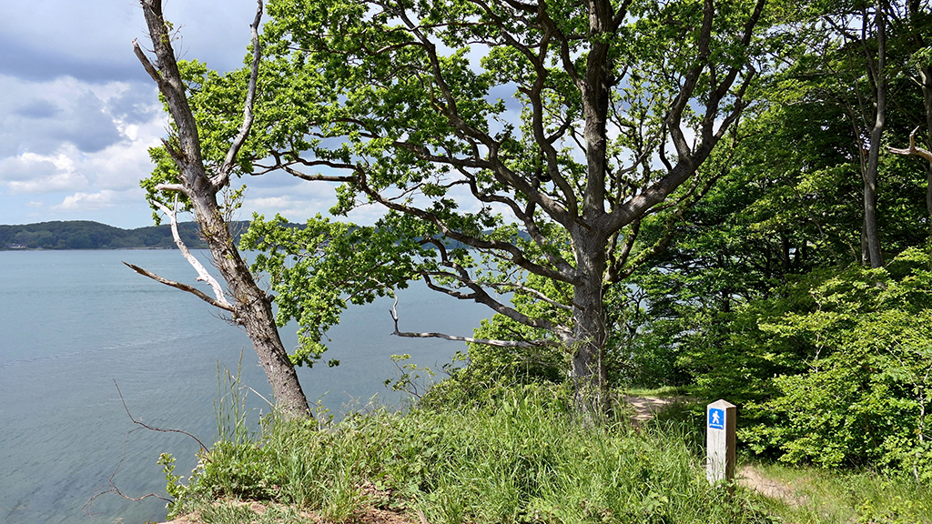 The Lillebælt Trail 27 km