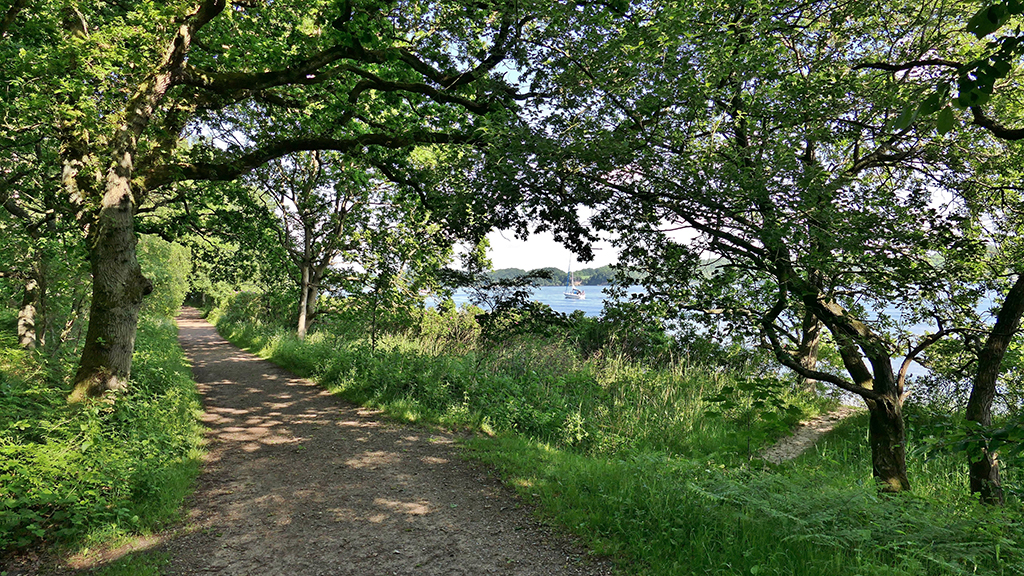 The Lillebælt Trail 27 km