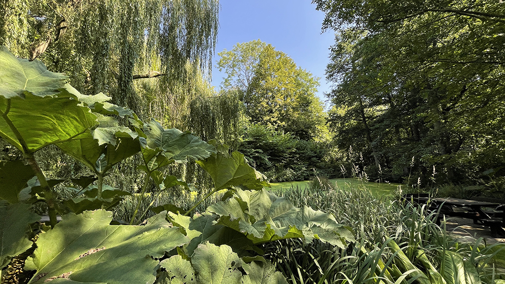 By the Bridge Bed & Breakfast
