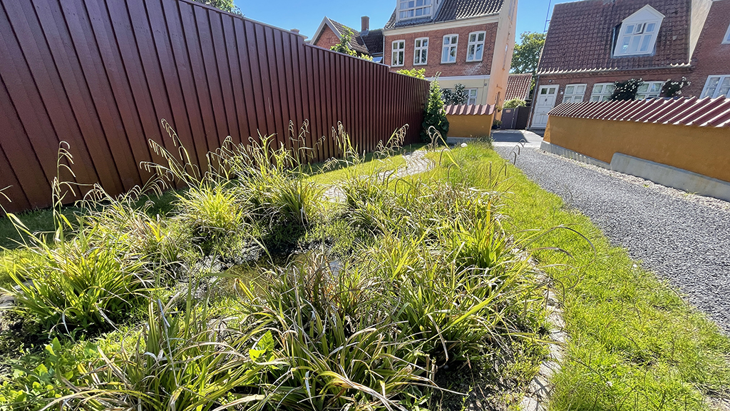 Grønt vandområde i Middelfart Gl. bydel