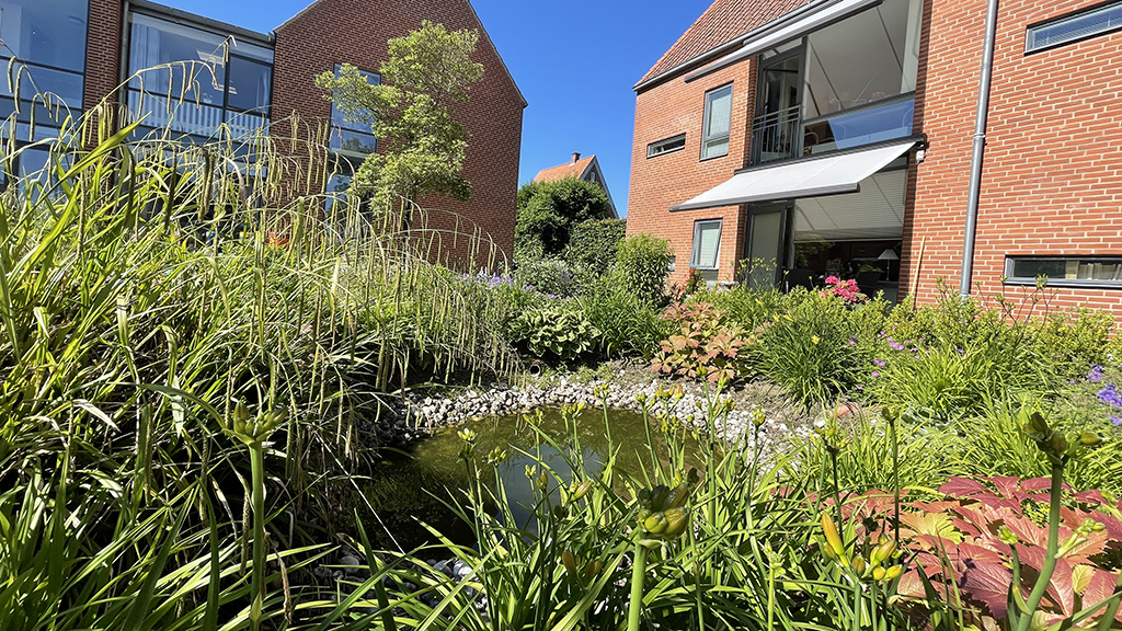 Plejehjemmet i Skovgade - udeområdet