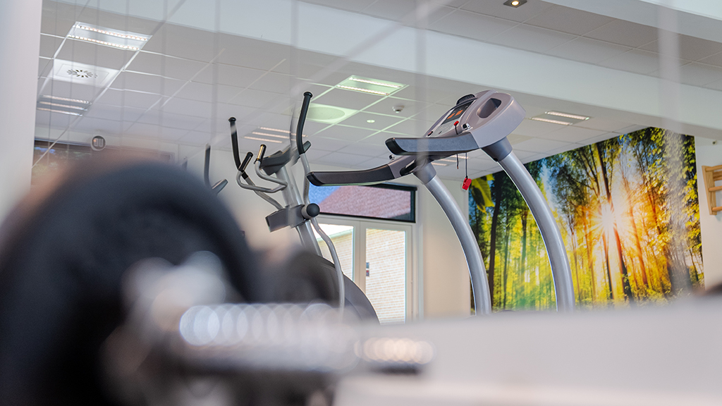 Severin i Middelfart -Motion