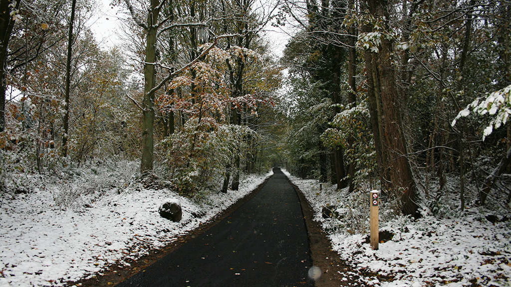 Banesti (Old railroad track) 4,2 km
