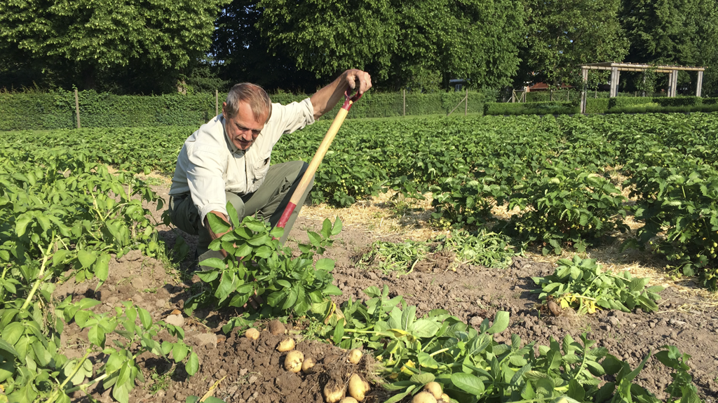 Hindsgavl Slot (Castle) - Conference center