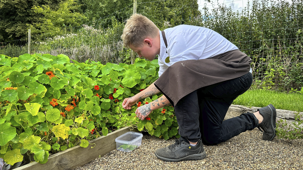 Hindsgavl Slot (Castle) - Conference center