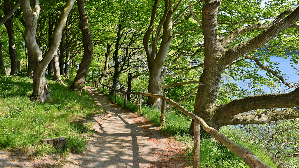 Halbinsel Hindsgavl – Weg mit Aussicht über den Kleinen Belt