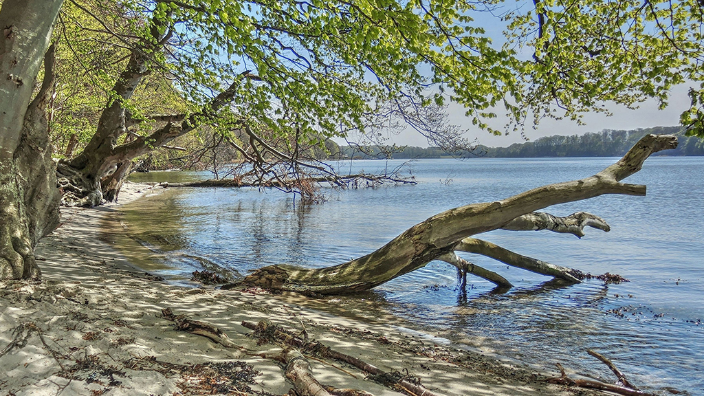It's beautiful here on the beach down towards Fænøsund