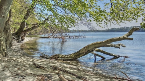 Smukt er her på stranden ned mod Fænøsund