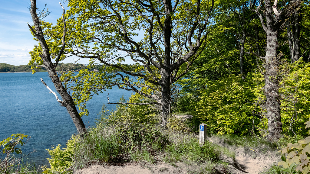 The Little Belt Trail is probably one of Denmark's most beautiful hiking routes.