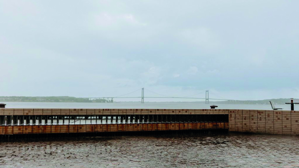 Klimaschutzprojekt Kleiner Belt. Im Hintergrund ist die Brücke des Kleinen Belts zu sehen.