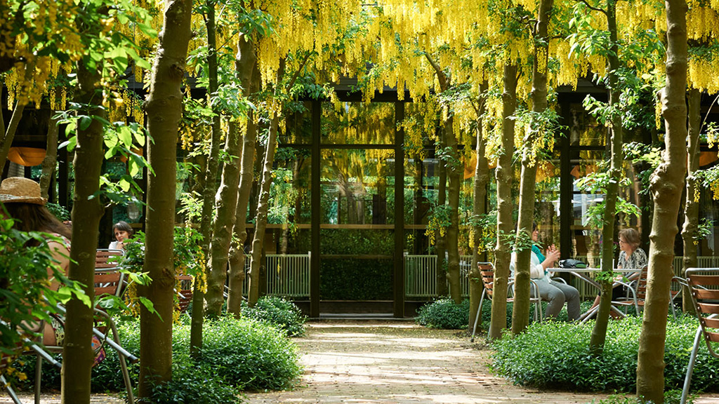 HUSET Middelfart - der gemütliche Innenhof