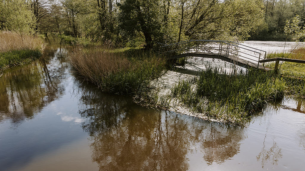 Brænde Ådal, a nature spot worth a visit