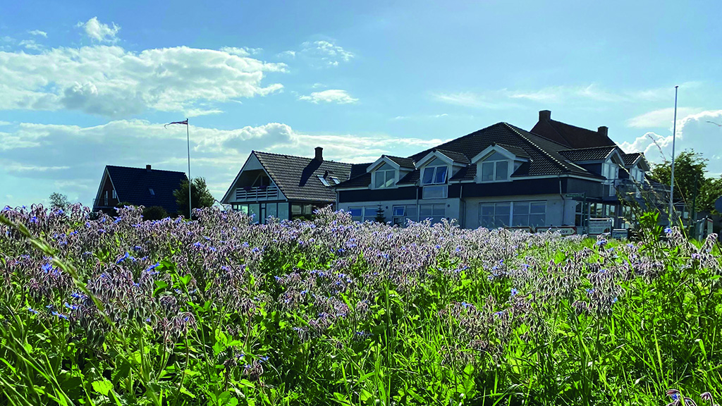 Samsted in Middelfart, von außen gesehen. Es ist Sommer, der Himmel ist blau und die Blumen blühen.